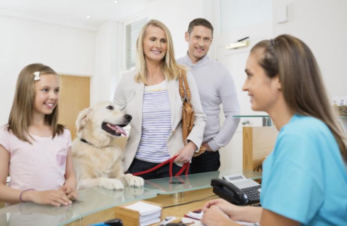 Making The Vet A Happy Place Making The Vet A Happy Place3 dog care