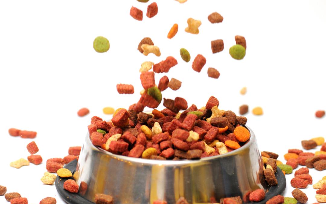 How to Store Dog Food dog wellness