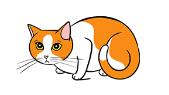 Understand Your Cat’s Body Language cc7 Classroom, cat care, cat class
