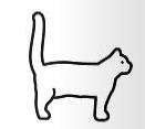Understand Your Cat’s Body Language cc9 Classroom, cat care, cat class
