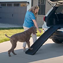 How to Train Your Dog to Use A Ramp fdvdfg Classroom, dog class, dog training