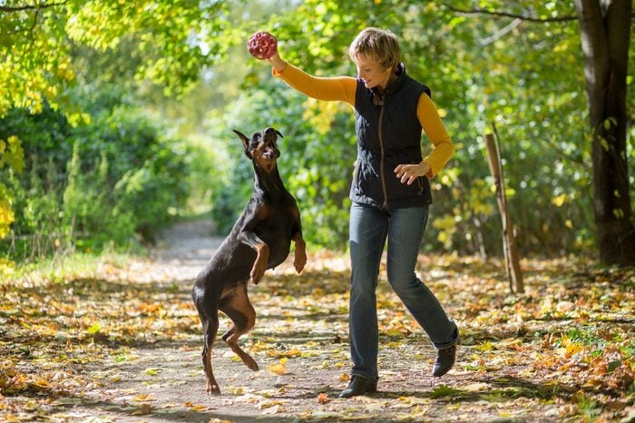 How to train your dog for social behavior: Pet etiquette ffffffff Classroom, dog class, dog training