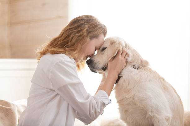 How to train your dog for social behavior: Pet etiquette sssss dog training