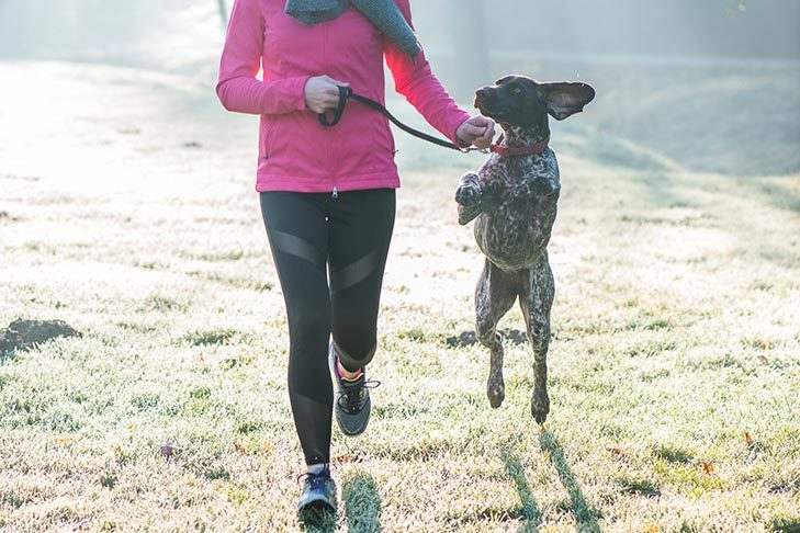 Training Dogs to Be Enjoyable Running Buddies vdfvgfd Classroom, dog class, dog training