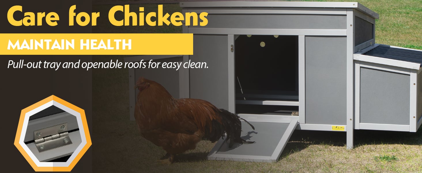 Coziwow 59"L Large Wooden Chicken Coop, Outdoor Chicken House with 2 Nesting Boxes and a Removable Tray, Dark Gray 画板 1 拷贝 4