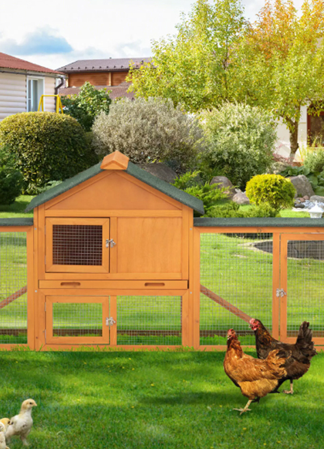 Chicken 3 1