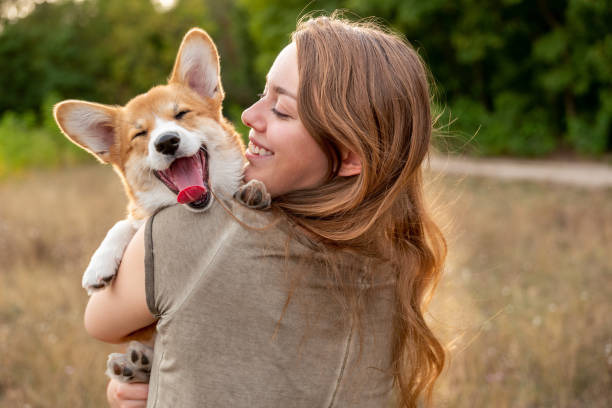 Creating Routines to Help with Pet Anxiety P5 dog wellness