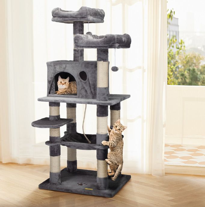 Indoor Cat Play and Exercise Ideas 3 1 1 Classroom, cat class, cat play