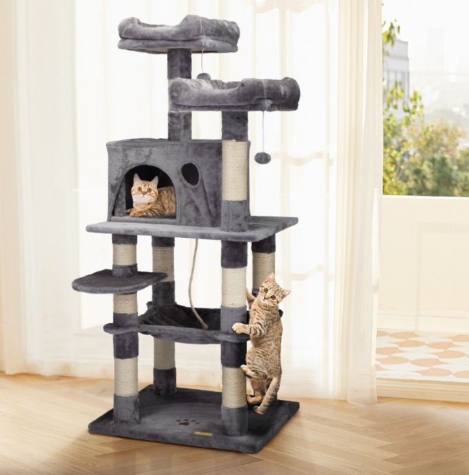 Indoor Cat Play and Exercise Ideas 图片3 1 1 cat play