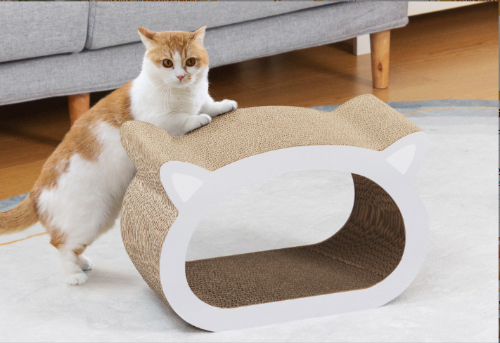 Indoor Cat Play and Exercise Ideas 图片4 2 cat play