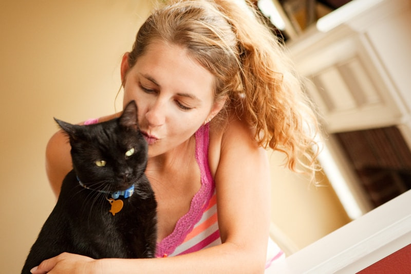 Socializing Your Cat with Other Pets and People 5 4 Classroom, cat training