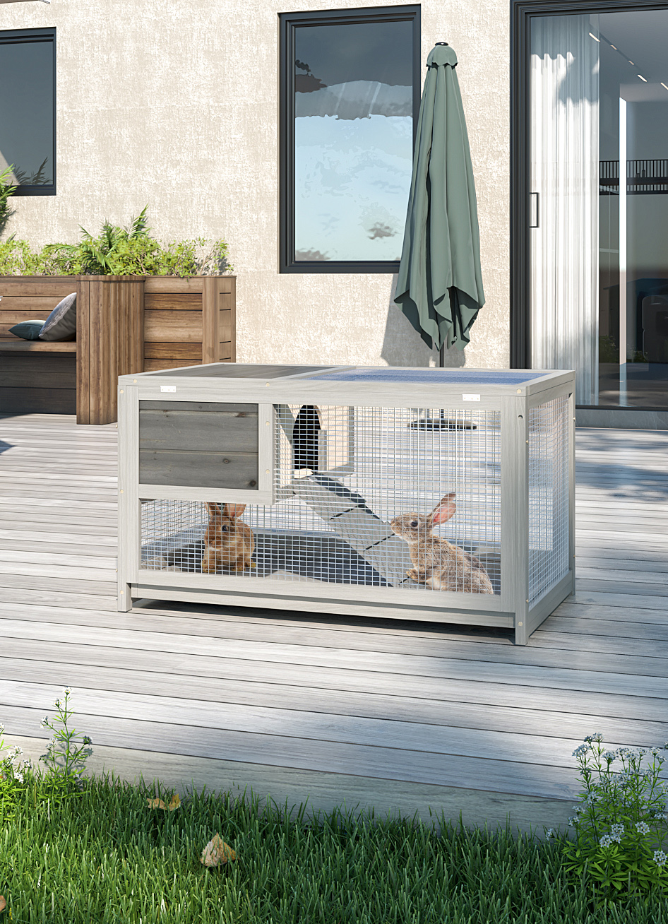 Rabbit CW12F0525