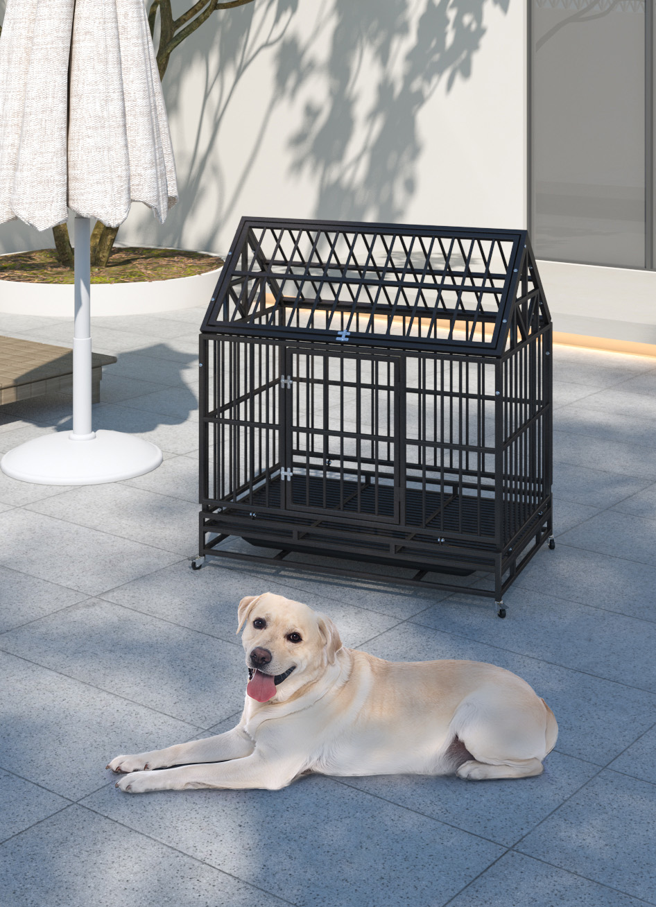 Dog CW12H0311