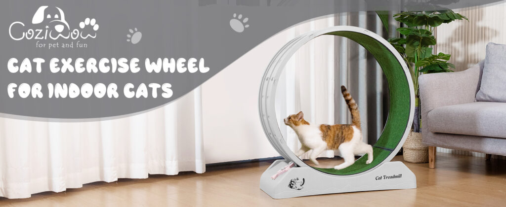 Coziwow 31.5"L Cat Exercise Wheel, Indoor Cat Treadmill with Locking Mechanism, Nonslip Carpet for Small Animals, Gray CW12X0556A1464X6002