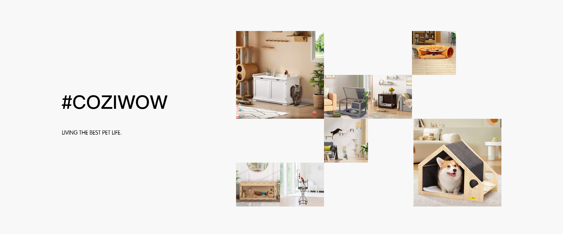 Home Coziwow1