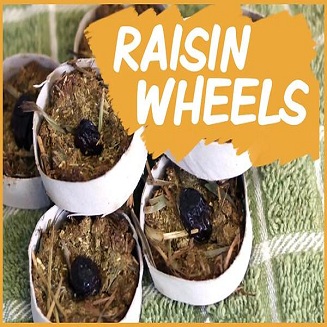 Raisin Wheels 图片10 rabbit recipe