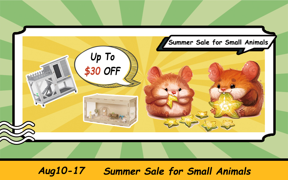 Summer Sale 1 2