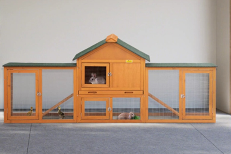 A Comprehensive Guide to Find the Perfect Chicken Coop Design 8 1 Chicken Blogs