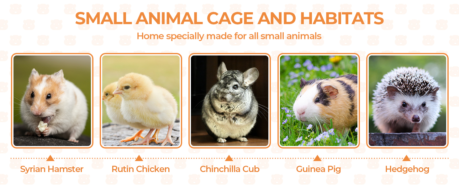 Coziwow Wooden Hamster Cage, Small Animal Habitat Openable Roof, 4 Acrylic Sheets, Natural CW12S0552A1464X6004