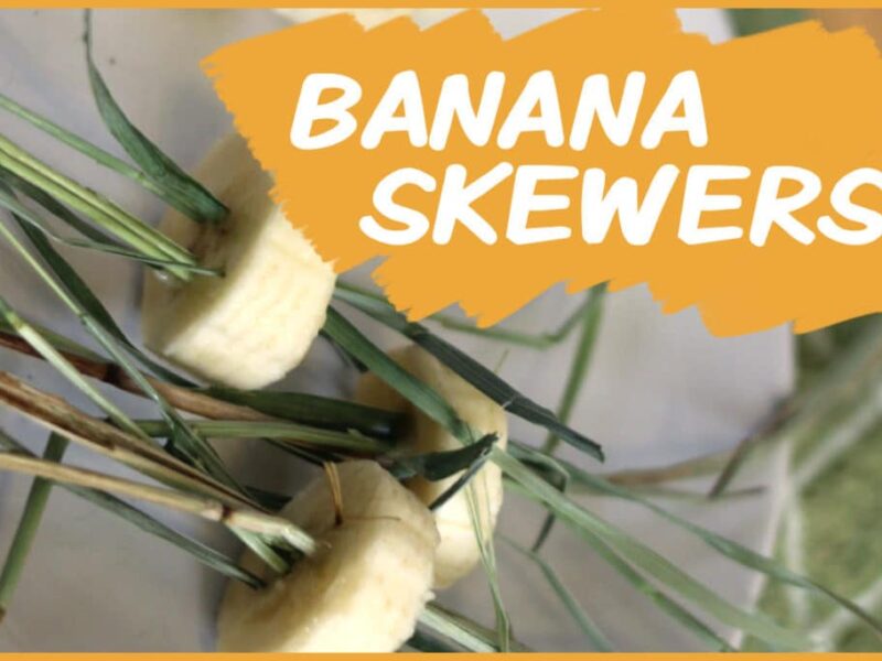 Banana Skewers