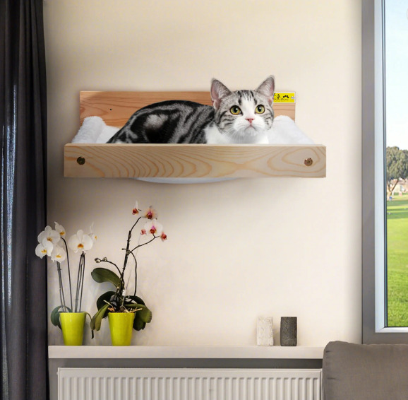 Why Do Cats Purr in Cat Window Perch? cat 1 Cat Blogs