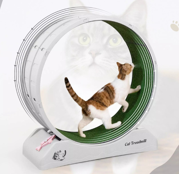 The Indoor Exercise Wheel for Cats