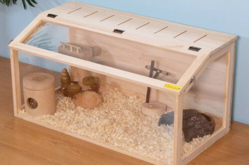 Small Animal hamster1