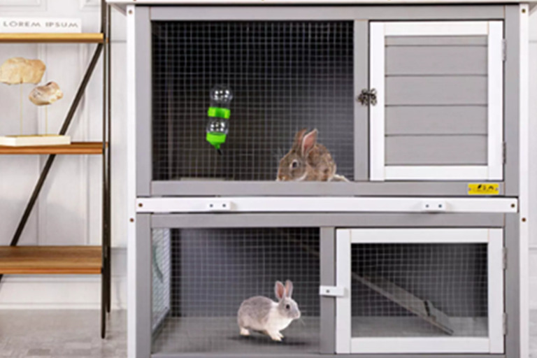 How to Winterize a Rabbit Hutch rabbit1
