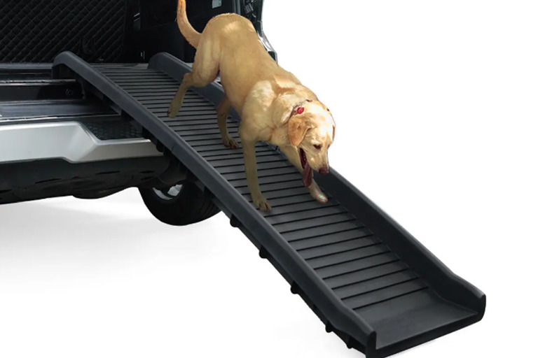Is a Dog Ramp Beneficial for Senior Dogs? ramp1
