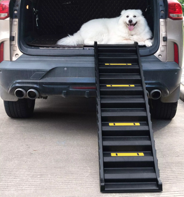 The Dog Car Ramp Offered by Coziwow

