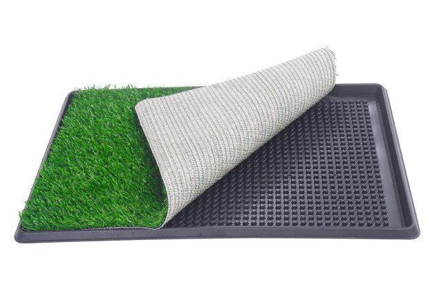 The Artificial Grass for Dogs Offered by Coziwow