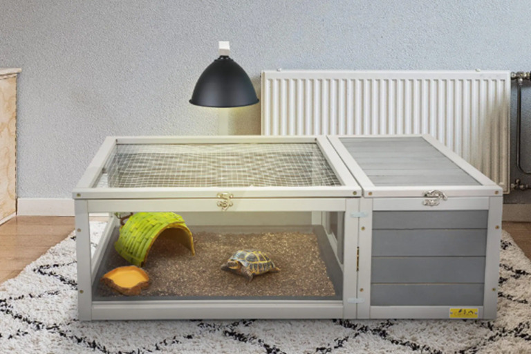 A Comprehensive Guide to Set Up a Turtle Habitat turtle1 Turtle Blogs