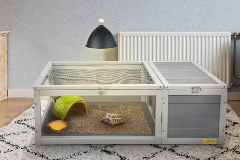 A Comprehensive Guide to Set Up a Turtle Habitat turtle1 Turtle Habitat