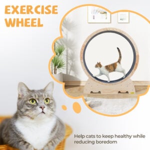 Home CW12B0559 zt15