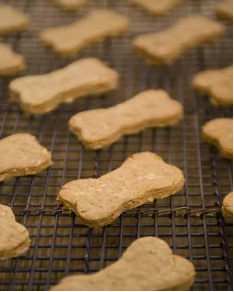 Peanut Butter Blackberry Dog Dessert