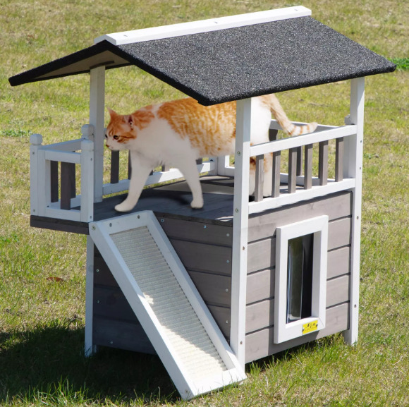 A cat is walking in the cat house.