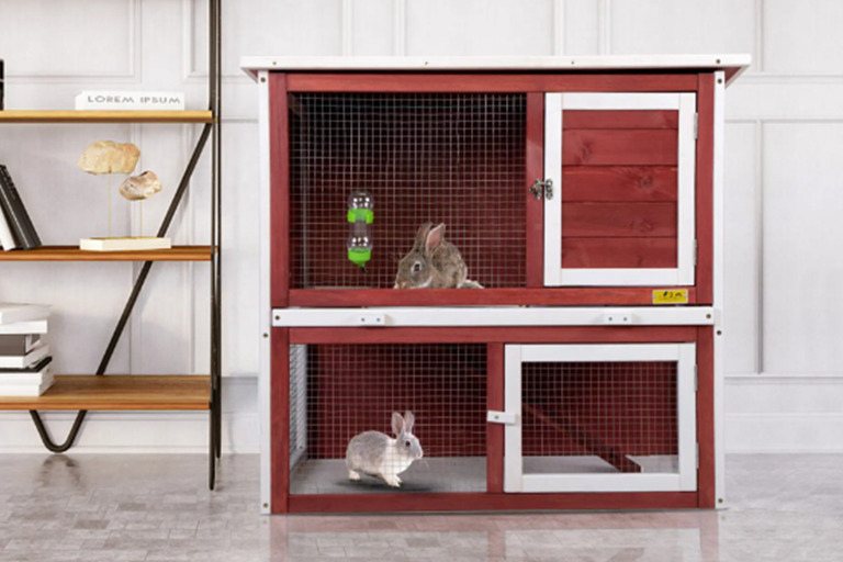 Can Rabbits Stay in a Rabbit Hutch All Day? day1 rabbit hutch