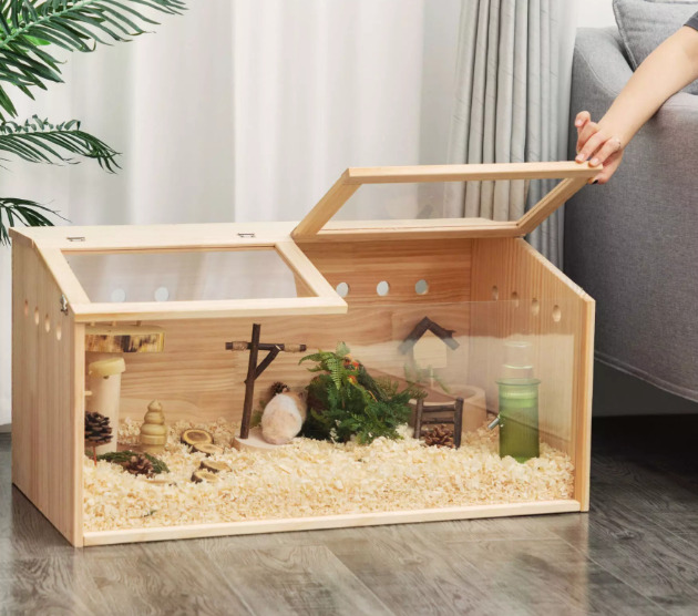 How Long Do Dwarf Hamsters Live? (Maximizing Their Lifespan)