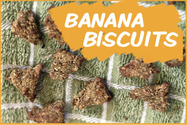 Banana Biscuits