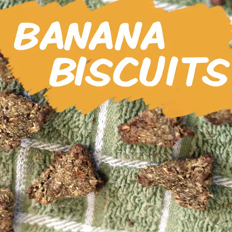 Banana Biscuits Banana Biscuits封面 rabbit recipe