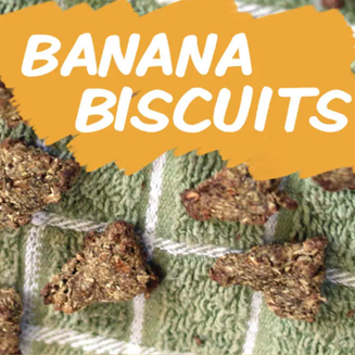 Banana Biscuits Banana Biscuits封面 Recipe