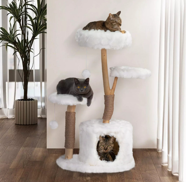 Cats are resting on the cat tree.