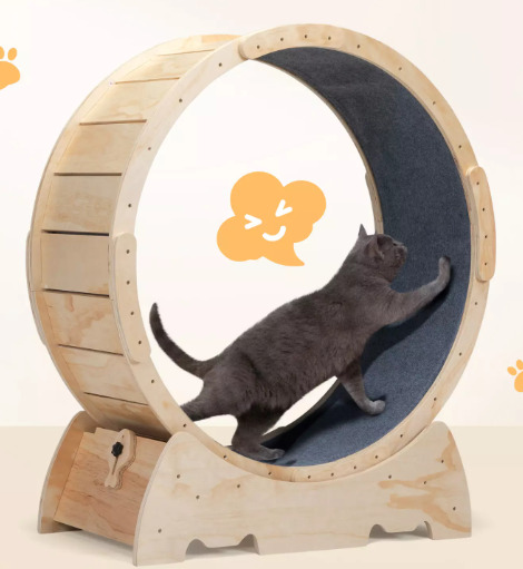 A cat is playing with cat exercise wheel.