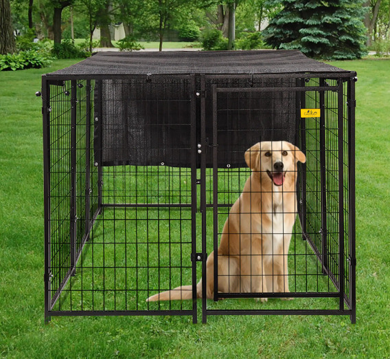 A dog is in the dog fence.
