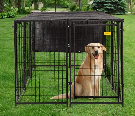 A dog is in the dog fence.