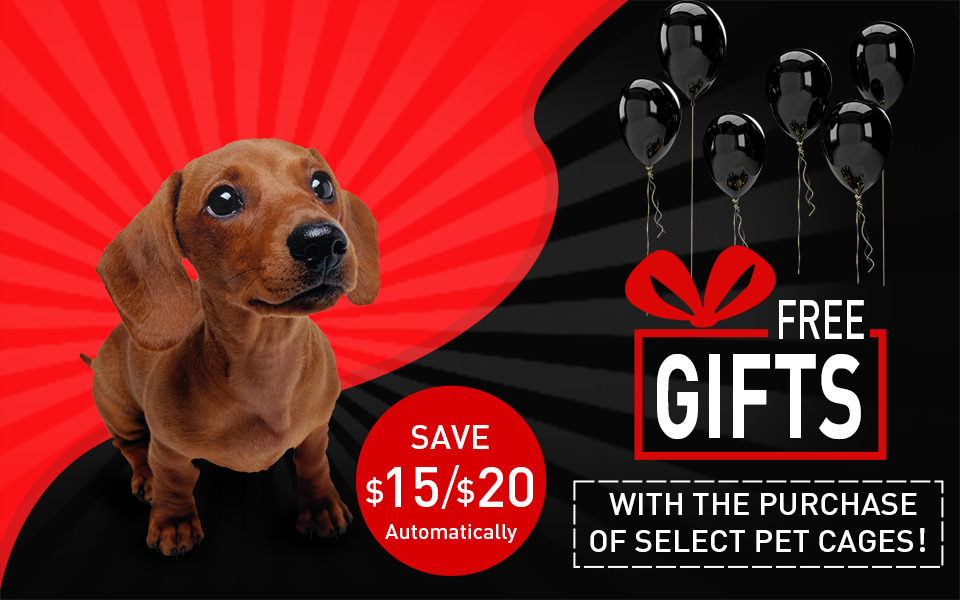 Year End Sale 2