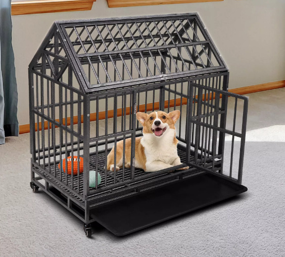 A dog is in the dog crate.