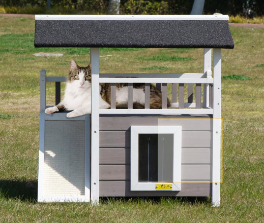 A cat is resting in cat house.