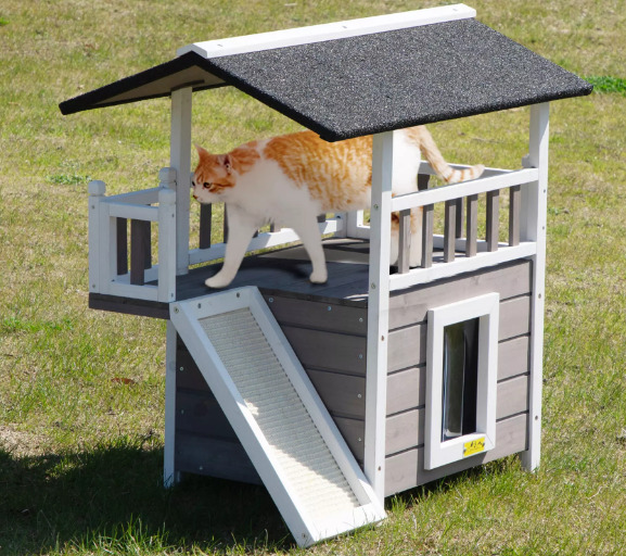 A cat is walking in cat house.