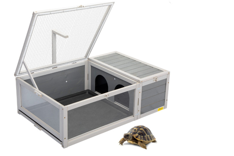 Thoughtful Christmas Gifts for Your Turtle 1 Turtle Habitat